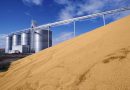I rincari di materie prime e fertilizzanti stanno mettendo in ginocchio l’agricoltura nazionale. Serve l’aiuto di banche e istituzioni.