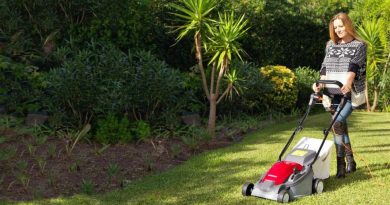 Macchine per il gardening: buoni livelli di mercato nel 2022