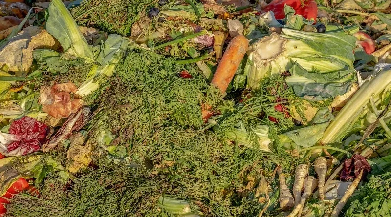 Il trentennale del Consorzio Italiano Compostatori: dal 1992 ad oggi trasformati rifiuti organici in 35 milioni di tonnellate di compost