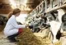 Assalzoo, Liverini: “Gli aumenti dei costi di produzione stanno mettendo a rischio la redditività della zootecnia”