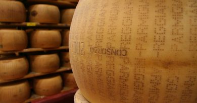 Da Intesa Sanpaolo 40 milioni di euro alla filiera del Parmigiano Reggiano del Consorzio Granterre