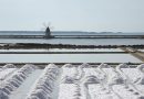 L’agricoltura coltiva il sale: presentato il progetto di valorizzazione della salicoltura a cura di Confagricoltura e delle saline marine italiane
