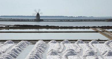 L’agricoltura coltiva il sale: presentato il progetto di valorizzazione della salicoltura a cura di Confagricoltura e delle saline marine italiane