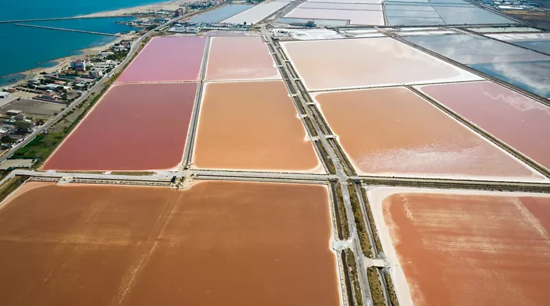 “La Salicoltura Marina è pratica agricola”: a Margherita Di Savoia (Puglia) la seconda tappa del progetto di Confagricoltura e le saline italiane