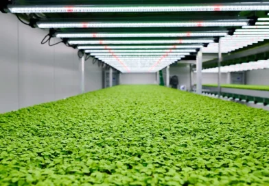 Cultipharm chiude un round da 1 milione di euro: nuova fase di crescita tra ricerca, sostenibilità e territorio