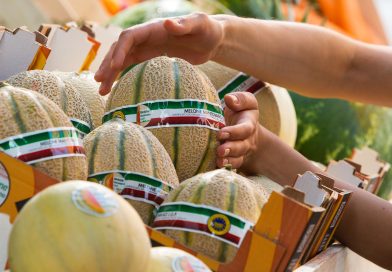 Melone Mantovano IGP: un’annata di qualità nel segno della sperimentazione e della comunicazione