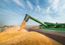 Import/export cerealicolo in Italia nei primi dieci mesi del 2025